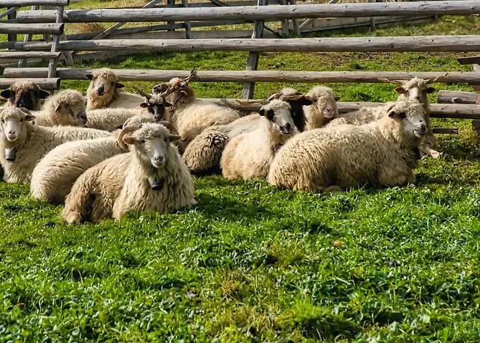 Penzion Maciata Biały Dunajec